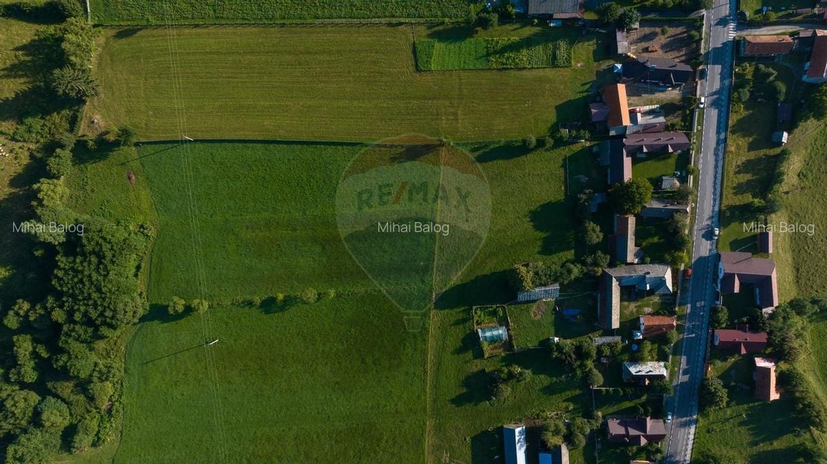 Liniste, aer curat si pamant bun - 7255 mp in Vama Buzaului - 15
