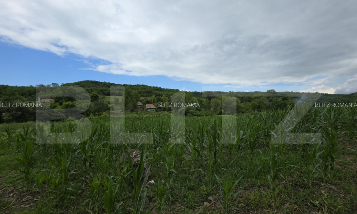 Casa la tara de vanzare, cu 13 ari de teren, la 40 km de Bi - 12