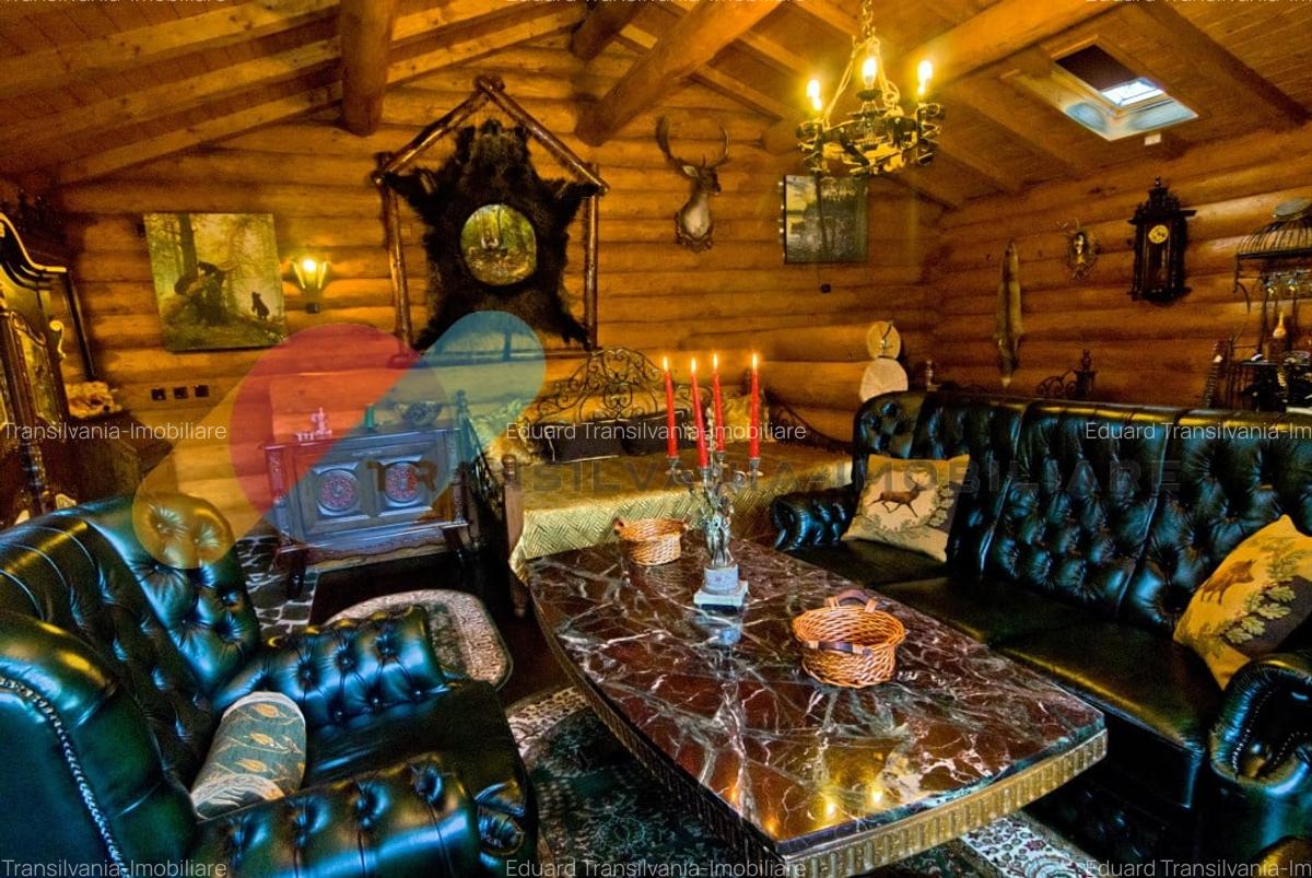 Complex  Printesa din Carpati  - Oportunitate de Investitie Unica pe Valea Aries - 17