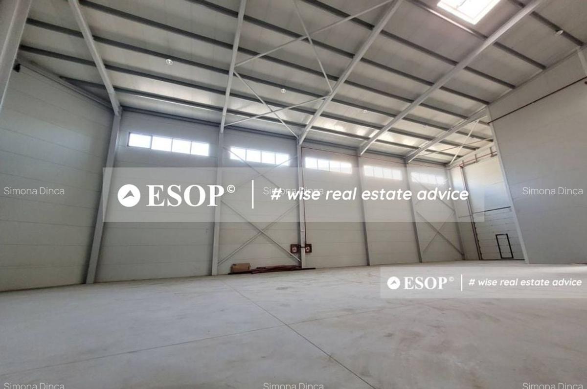 Hala de vanzare,  zona Mogosoaia, 1500mp, ID 15424, - 3