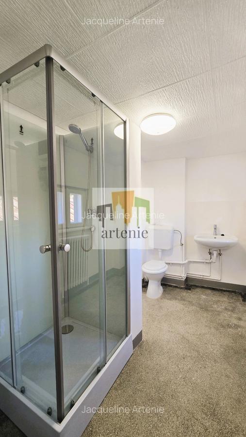 Pache Protopopescu - Plantelor apartament in vila - 4