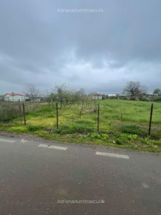 Teren intravilan+casa cop Baneasa Giurgiu - 4
