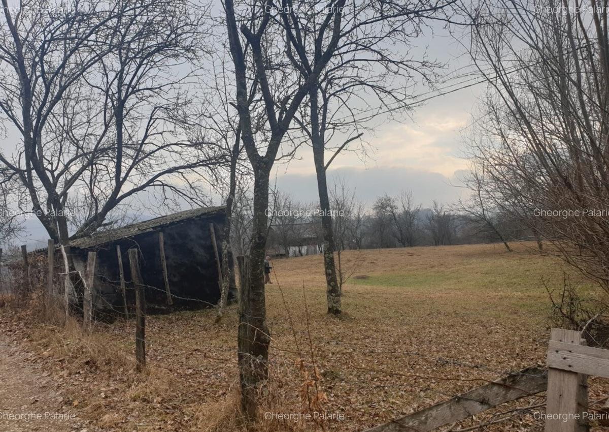 Vand teren 2911mp intravilan, sat Brebu, jud. Dambovita - 4