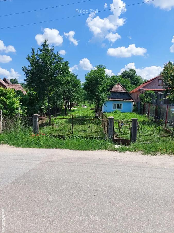 Vand casa batranesc - 1