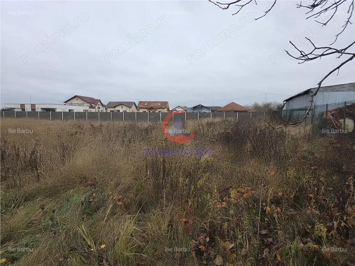 Teren intravilan de vanzare Albina, Timi? 759 mp - 3