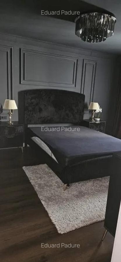 Apartament cu 2 camere decomandat în Semicentral - 3
