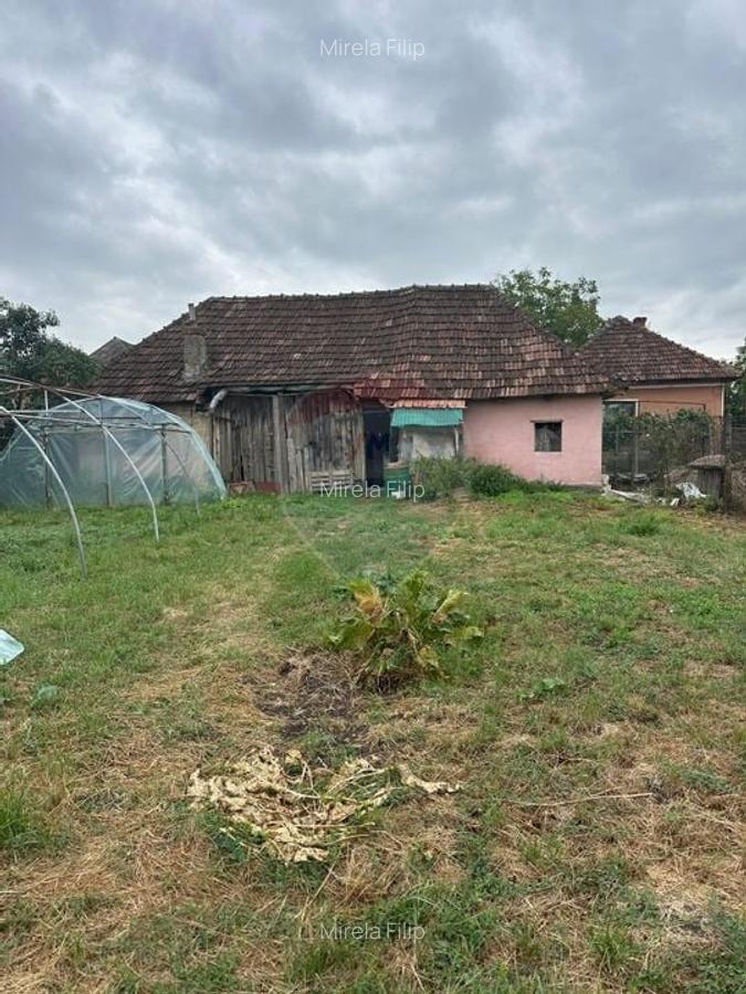 30 arii TEREN INTRAVILAN cu o GOSPODARIE veche - 3