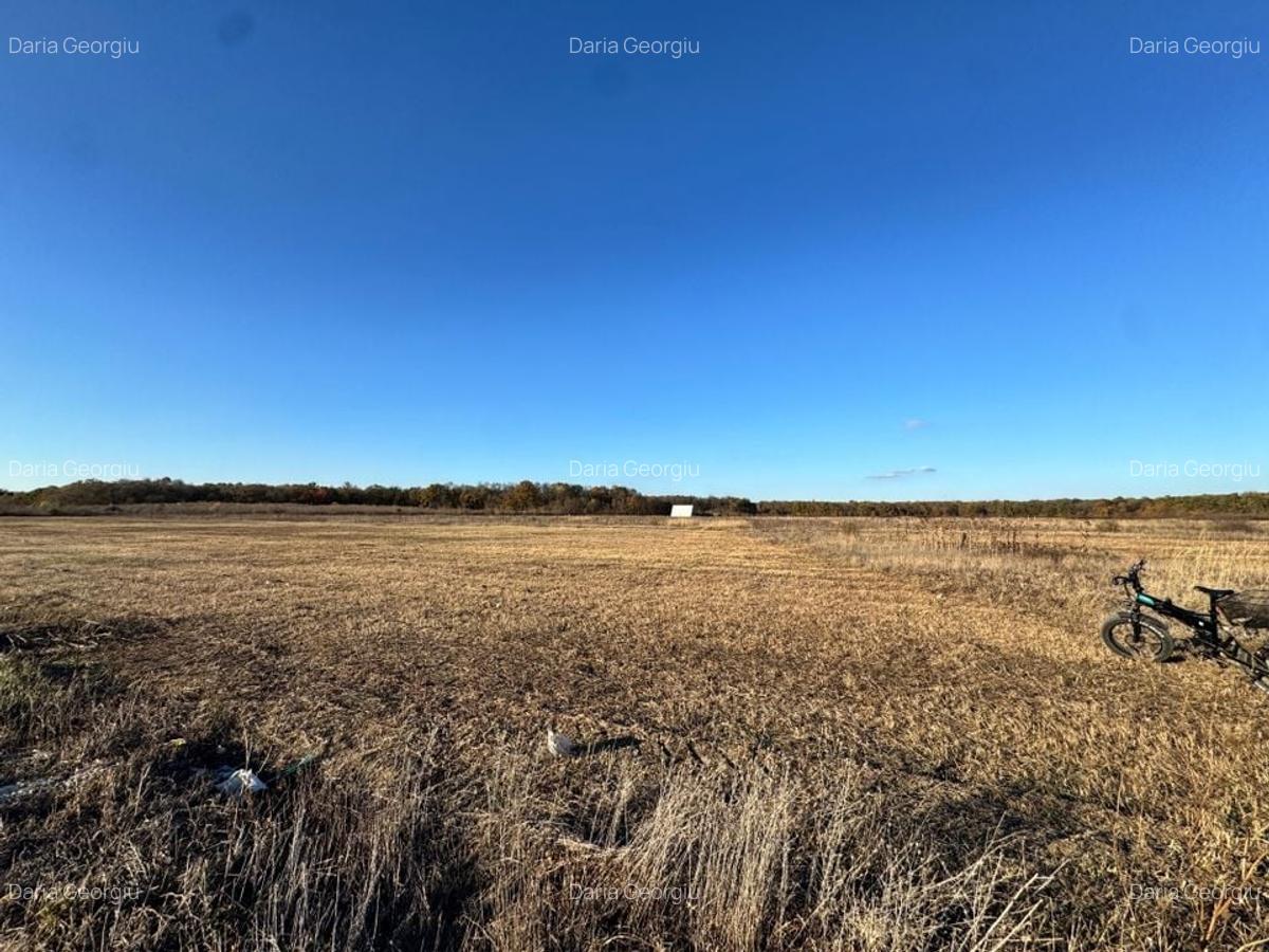 COMISION 0% | Teren Intravilan | Mosnita Veche | 775 mp | 26 mp Front - 1