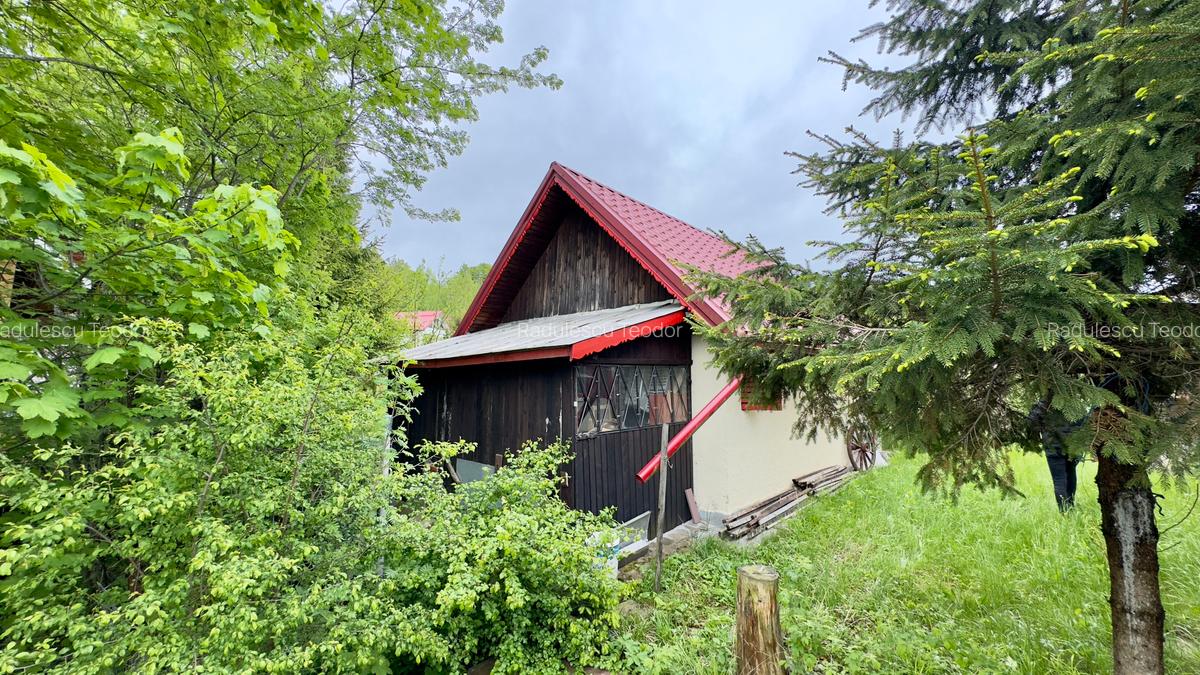 Vila vacanta Cheia - Prahova, pretabila pentru investitie - 12