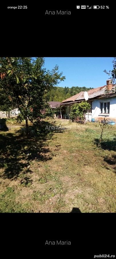 Casa de vanzare jibou - 3