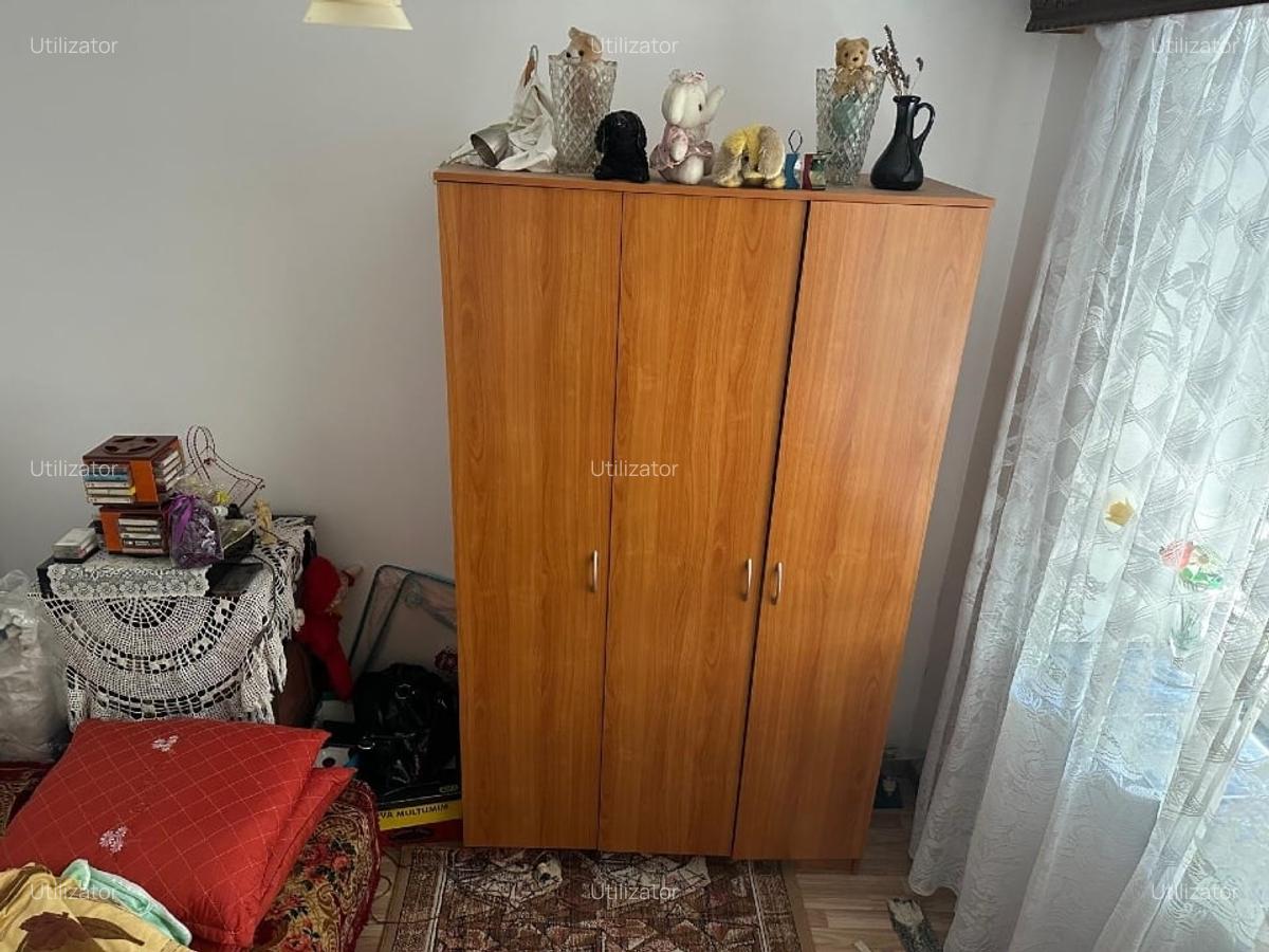 Casa formata din 2 corpuri si un garaj in comuna Branceni - 9