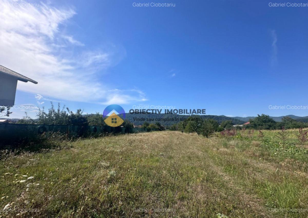 Teren intravilan de vanzare 1.688 mp, Dumbrava Ro?ie - 6
