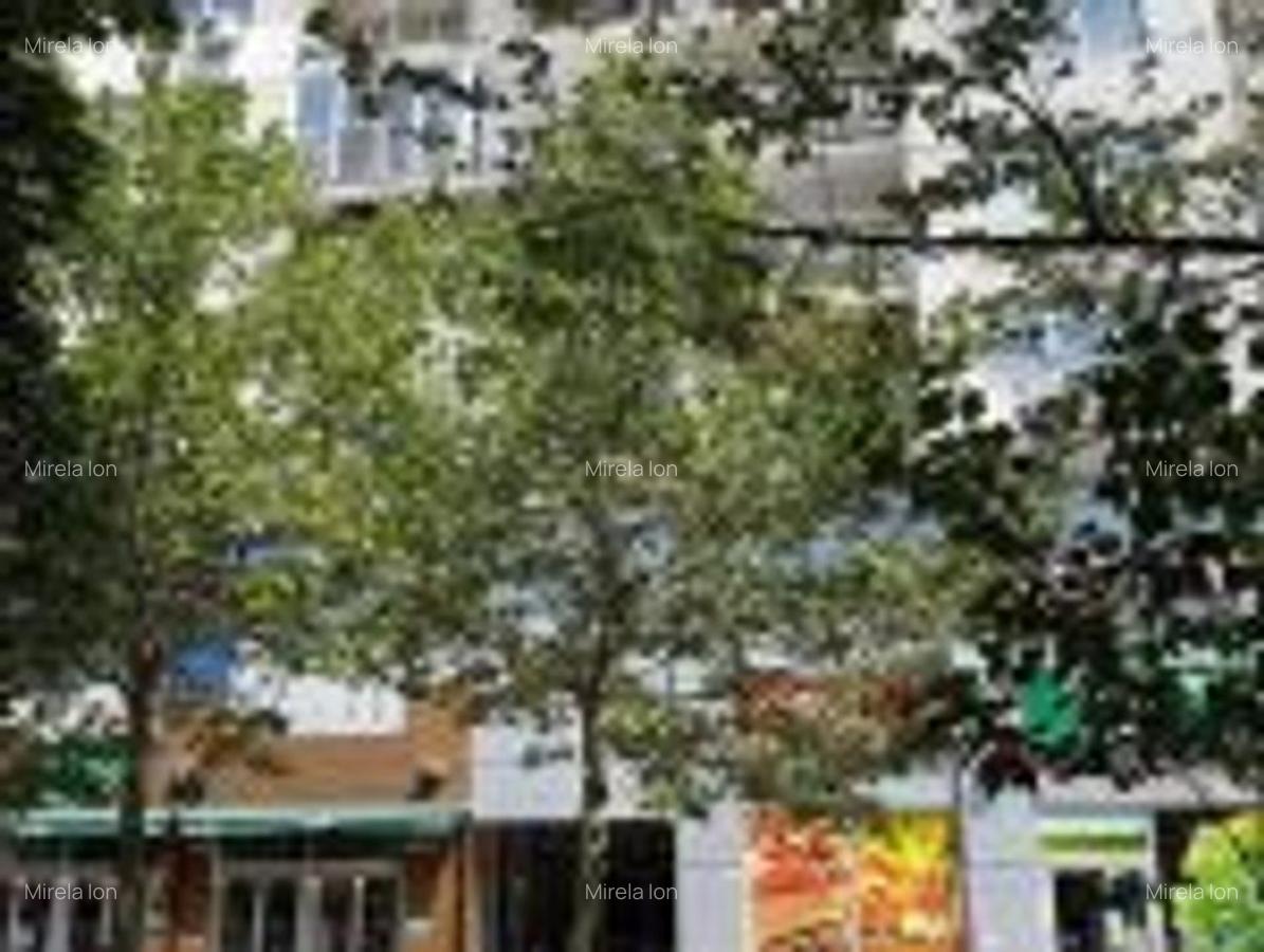 Vanzare Apartament 2 Camere 1 minut Bulevardul Decebal - 3