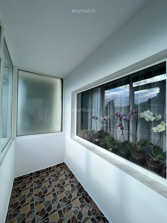 Doamna Ghica- Delfinului - 2