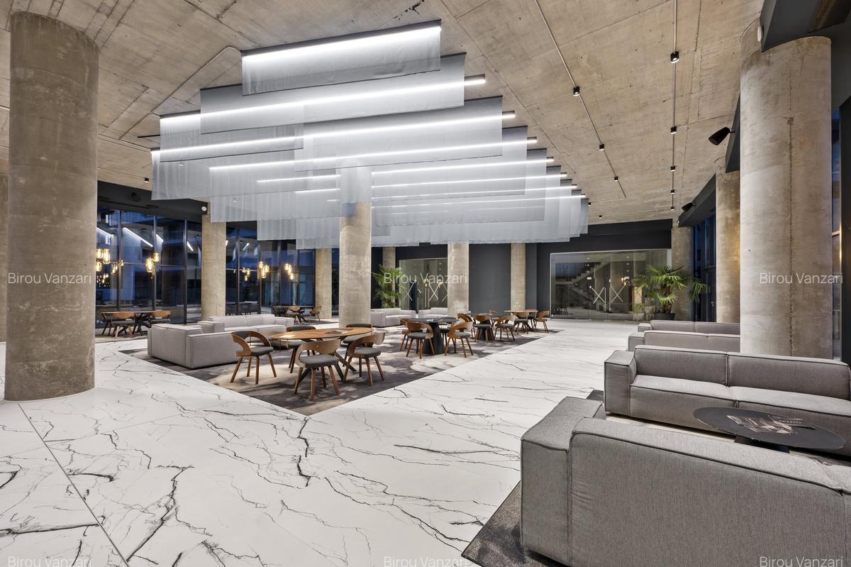 Alezzi Odyssey - Studio Mamaia Nord - 2