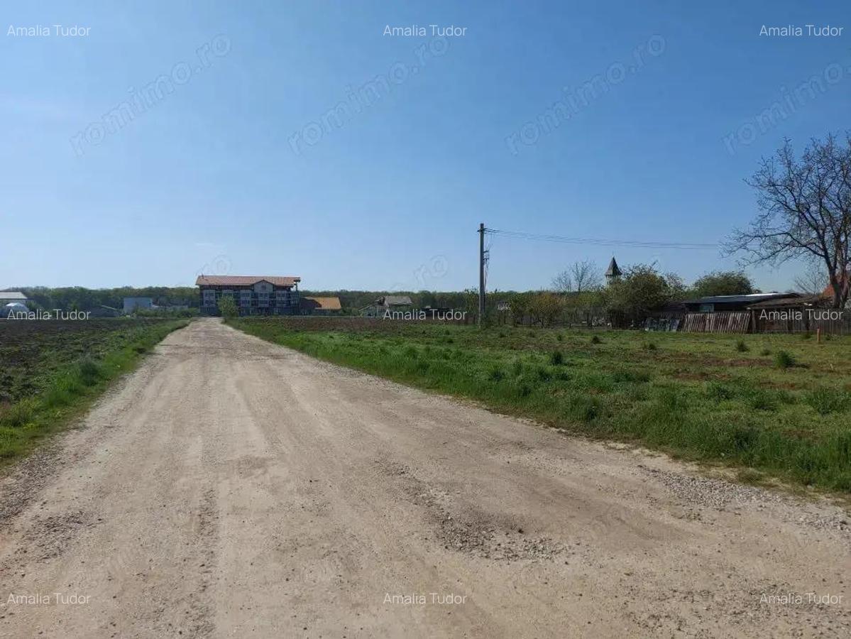 Teren 1.510mp la strada principala, dubla deschidere, Ciofliceni - Snagov! - 5