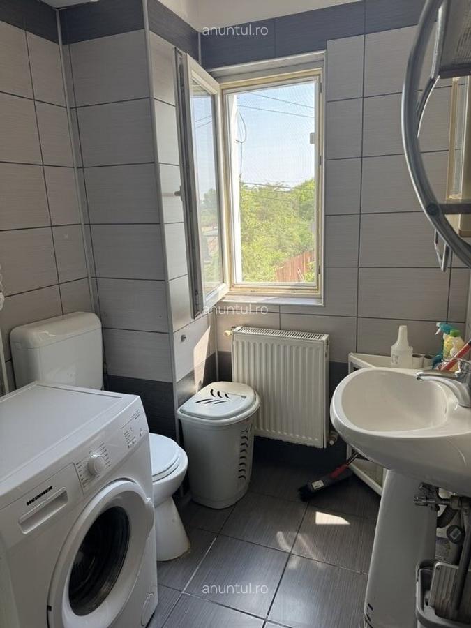 Nicolae Grigorescu, Salajan - 11