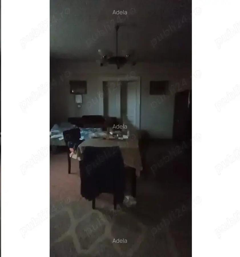 Teren 6000 mp cu 2 case, Faget - 6