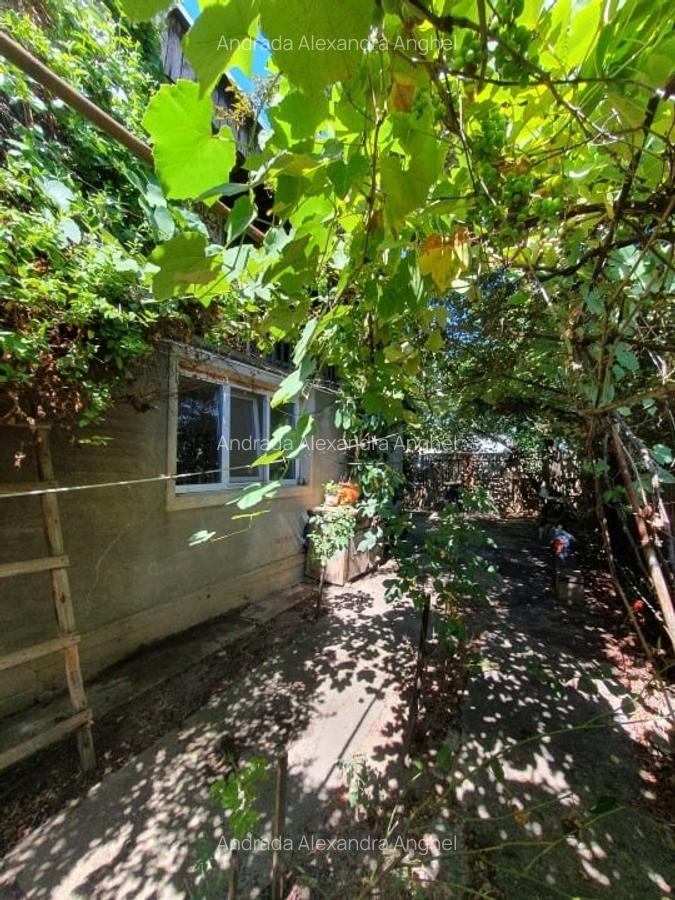 Casa + teren de vanzare -505mp- Comuna Barcanesti, sat Tatarani, PRINCIPALA - 4