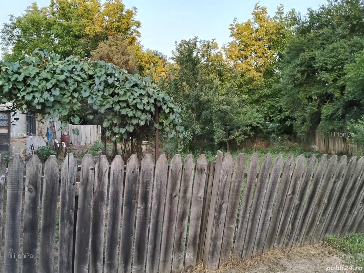 Casa de vanzare - 9