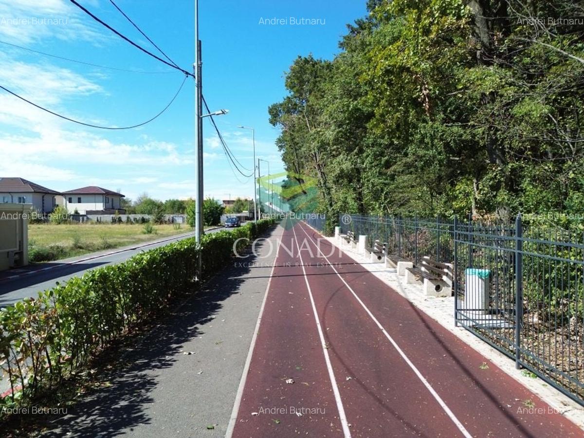 Teren - Voluntari - vis a vis de Padure - 10.000 mp - 4