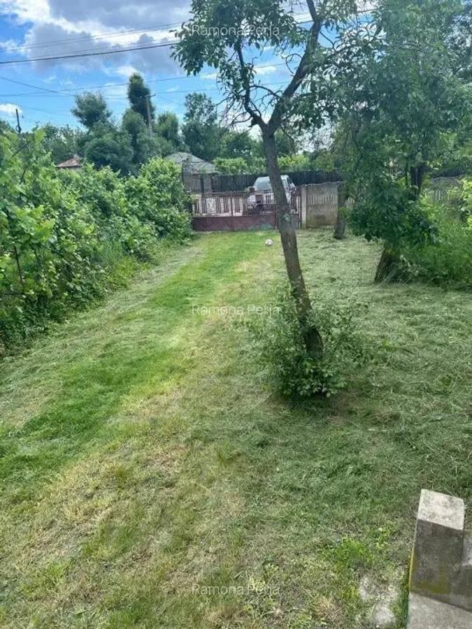 Casa Recea la doar 45 km de Pitesti - 4