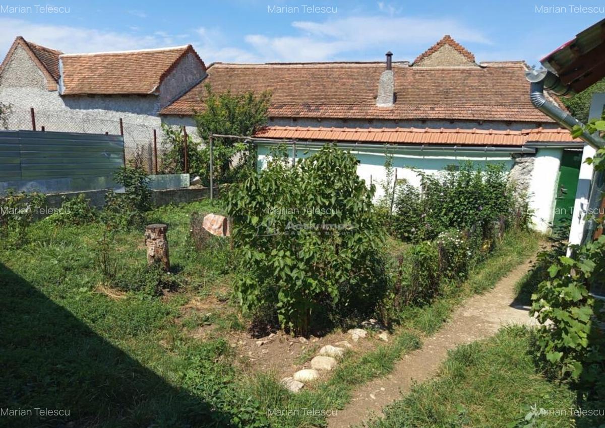 Ilidia, Casa de Vacanta, 3 Camere, 899mp Teren, Usor Negocia - 5