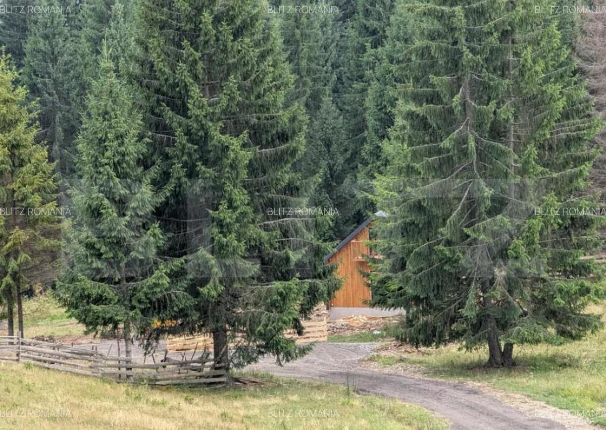 Teren intravilan de vanzare in Colibi?a oportunitate - 2 Teren intravilan de vanzare in Colibi?a oportunitate - 2