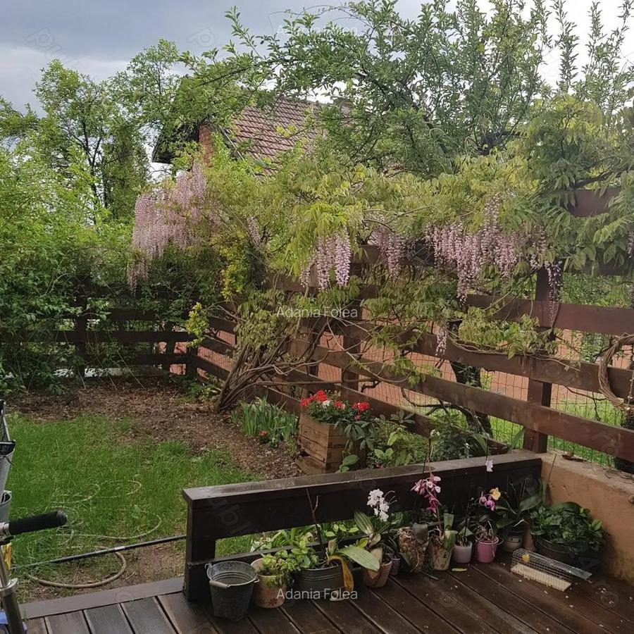 De inchiriat! Casa deosebita in Gruia, panorama spectaculoasa! - 11