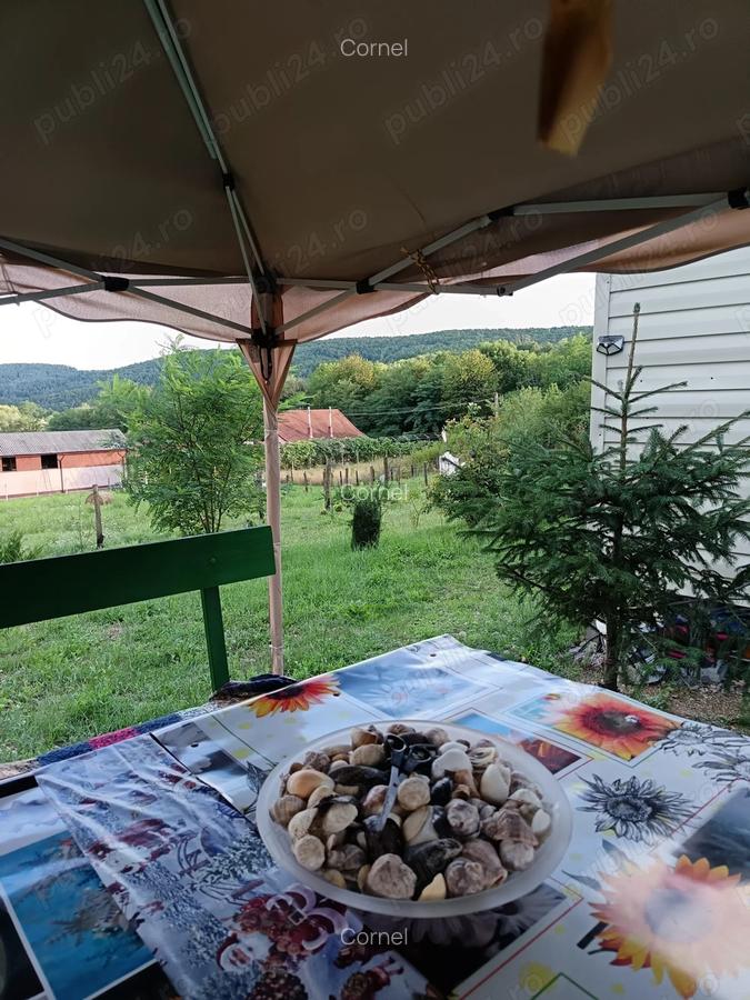 Vind cabana de vacanta in jud.Arges - 4