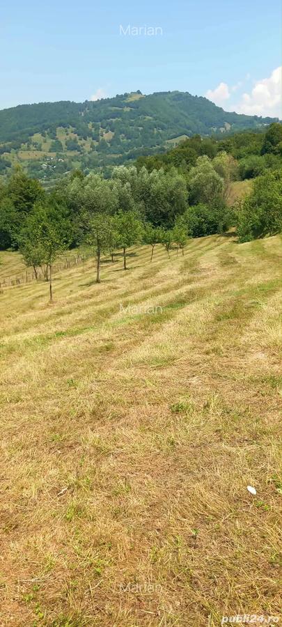 Casa locuibila + teren 8900 mp, utilita?i, anexa, livada-toate actele. - 2