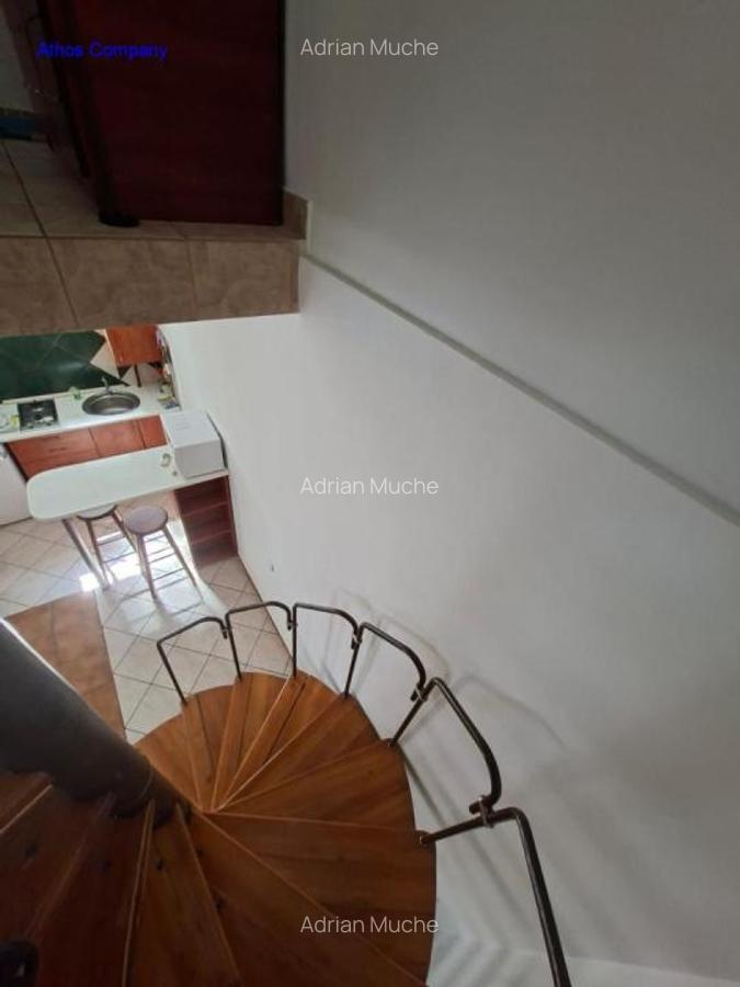 Casa/Ap.3 camere, P 1, Podul Grand la 650 euro - 11 Casa/Ap.3 camere, P 1, Podul Grand la 650 euro - 11