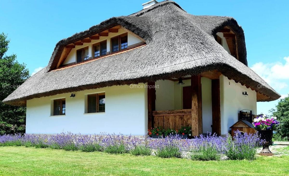 Casa traditionala de vis, aproape de Cluj-Napoca - 1