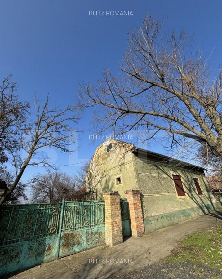 Casa pitoreasca, 4 camere, 180 mp, zona Beregsau Mare - 1