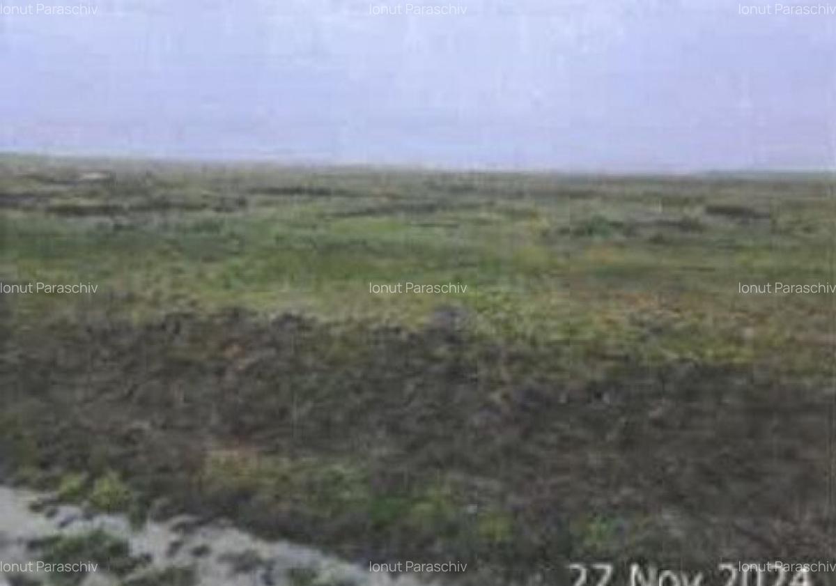 Teren pasune Luciu, cota parte 10000/407492 ; ID: R2766691 - 1