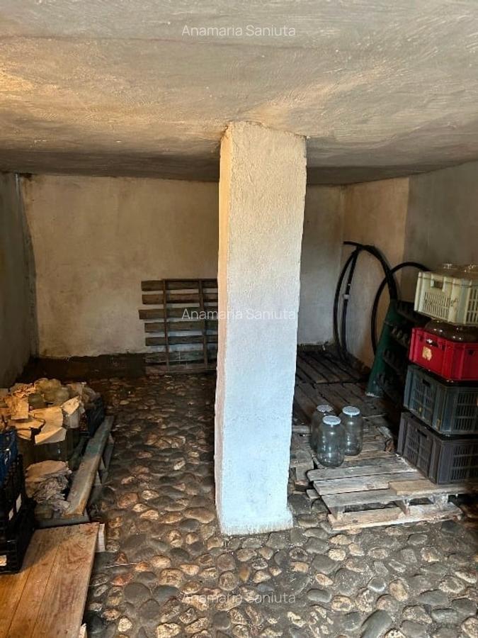 Proprietate specială, 280 mp în Dumbrăvița - 16