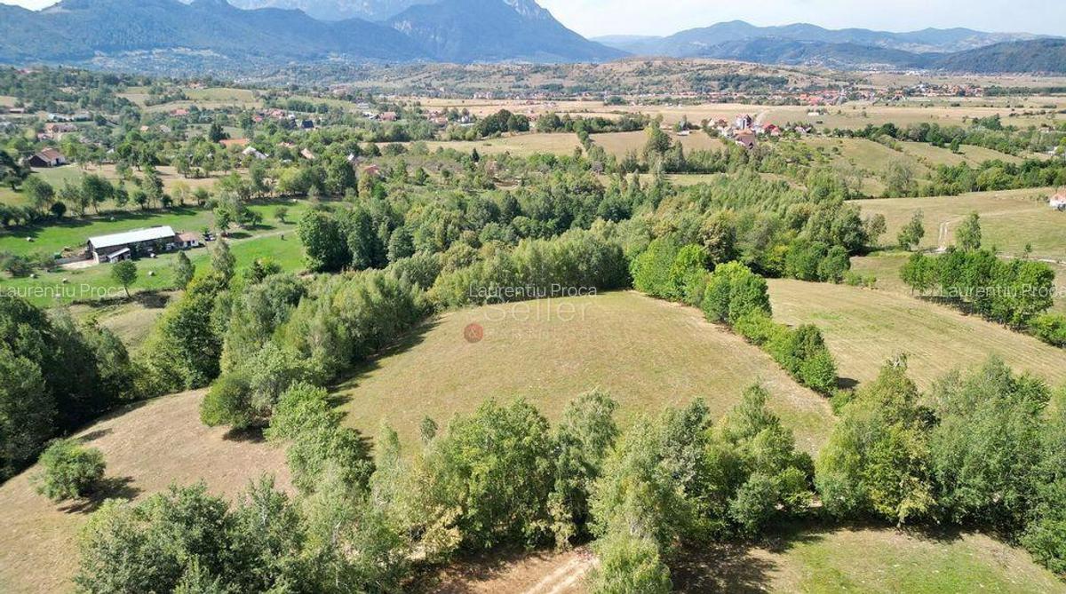 Teren intravilan, priveliste deosebita - 8