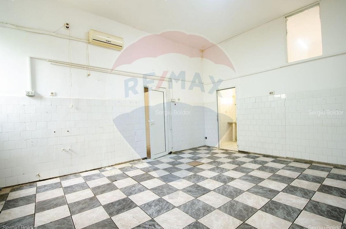 Spațiu comercial, 162 mp în Mehala - 12