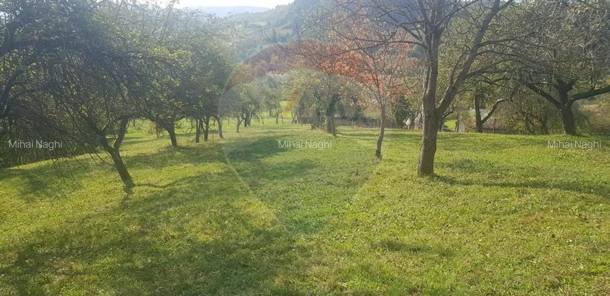 Casa si teren 1.6 ha de vanzare, in Rona de Jos - 5