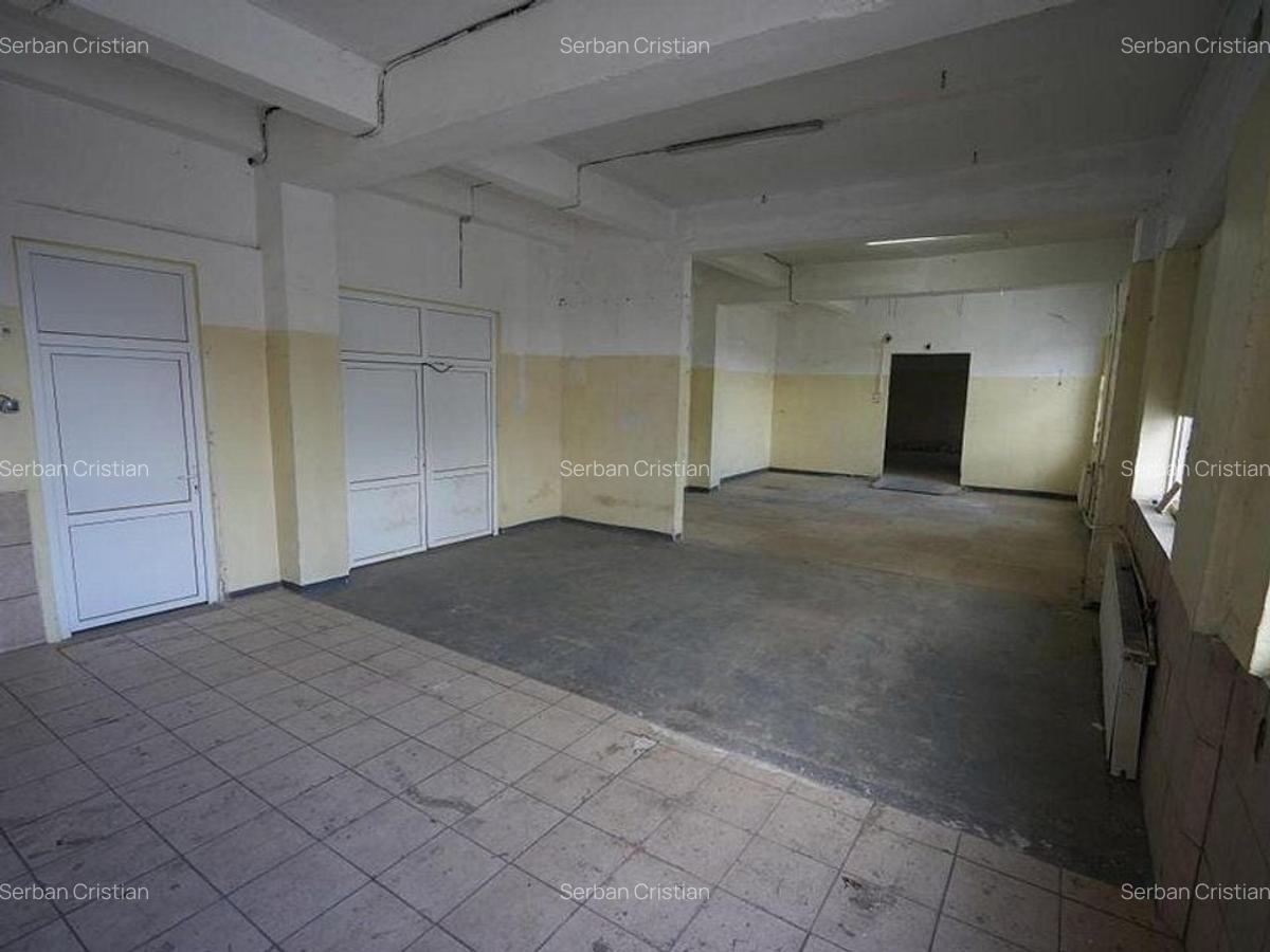 Drumul Intre Tarlale spatiu productie 1350 mp - 18
