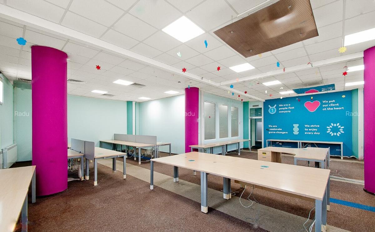 Bulevardul Cosbuc 116-118 - MaxFit - Birouri Premium - 12