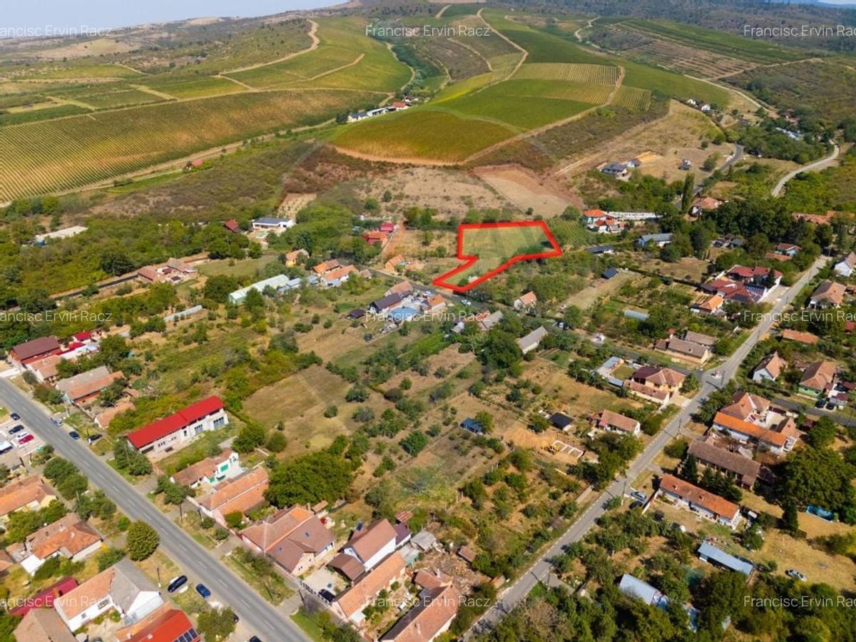 Minis- destinatia ideala pentru o resedinta de lux in inima naturii. - 10