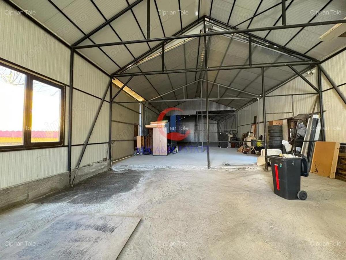 De inchiriat hala zona Mehala - 5