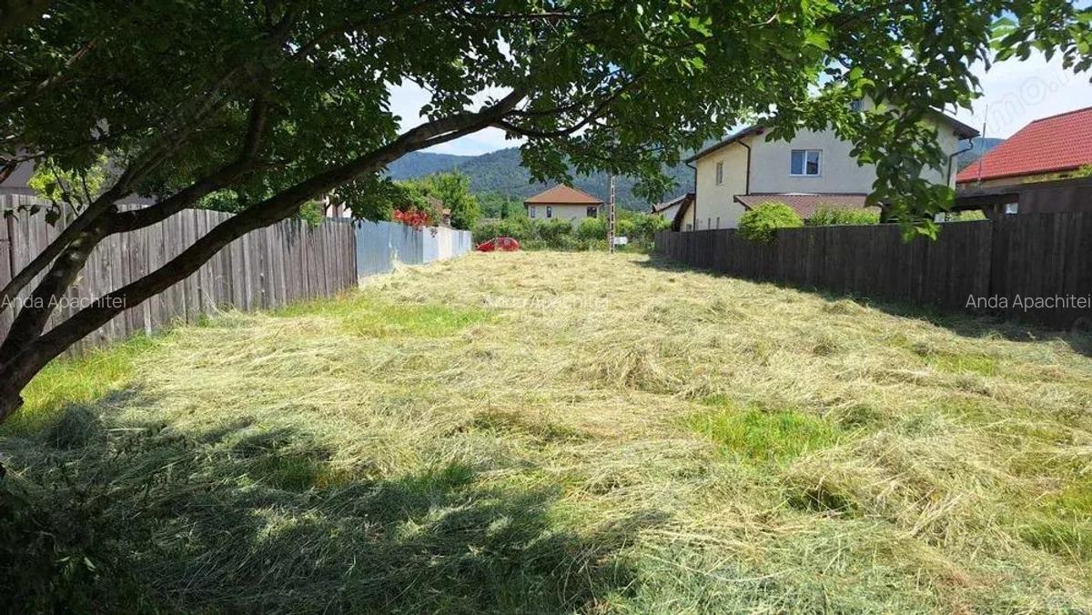 Teren Intravilan 723 mp Cristian - 2