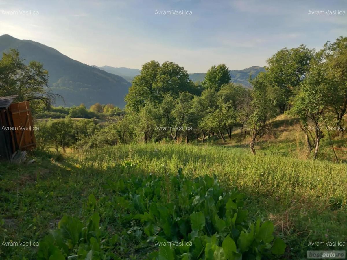 Casa batraneasca de vanzare - 3
