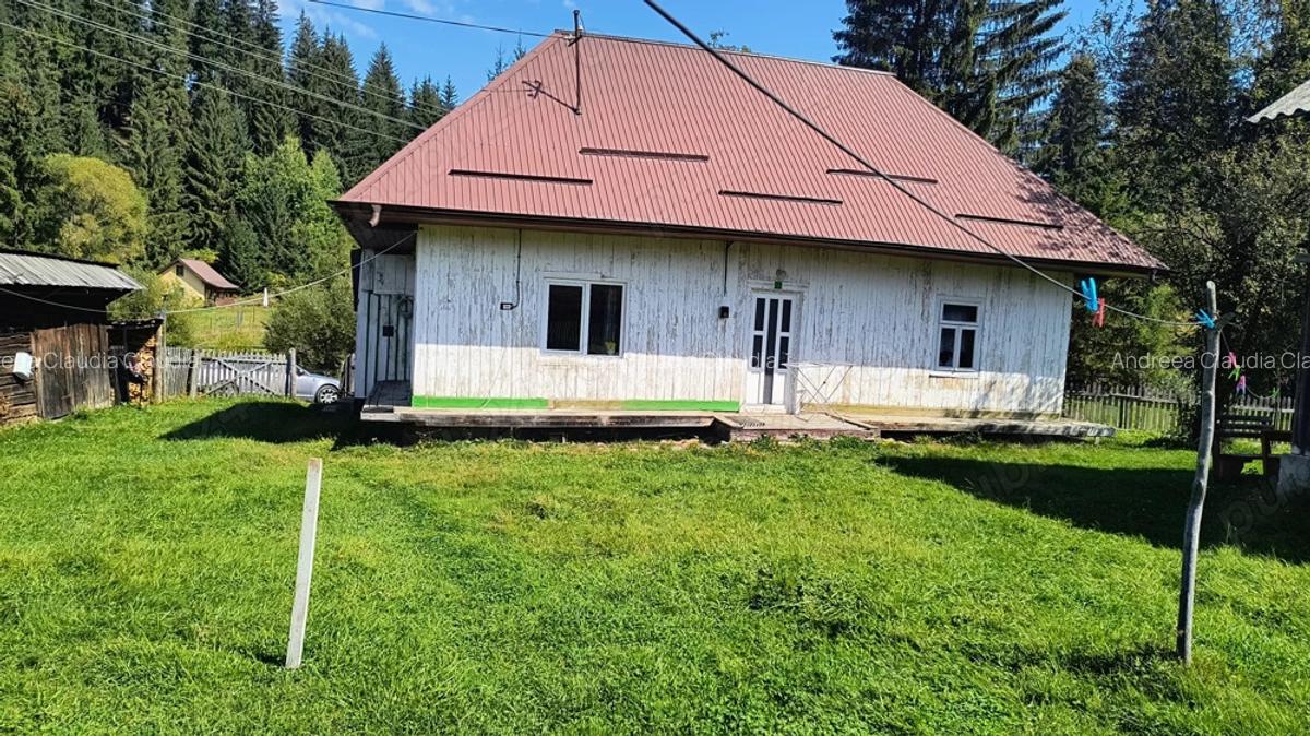 Casa in Plaiul ?arului - 10 Casa in Plaiul ?arului - 10