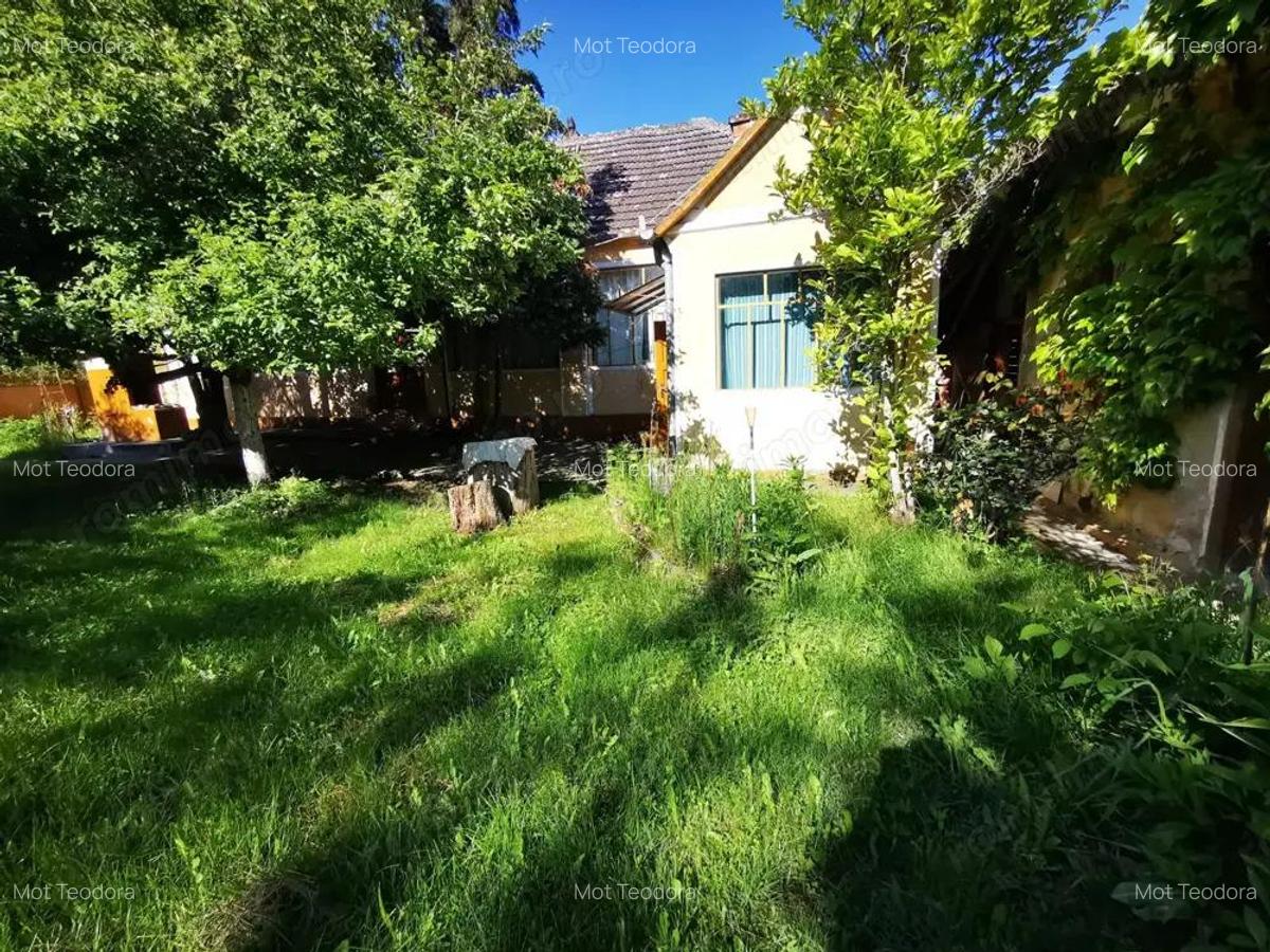 De vanzare casa in Buzad- 709 - 19