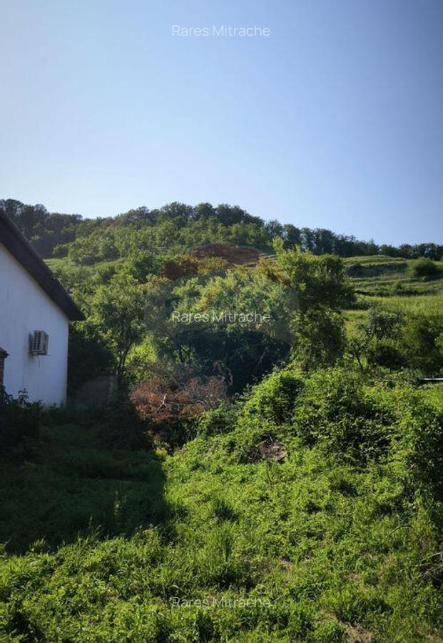 Casa saseasca tradi?ionala in inima Biertanului ... - 17