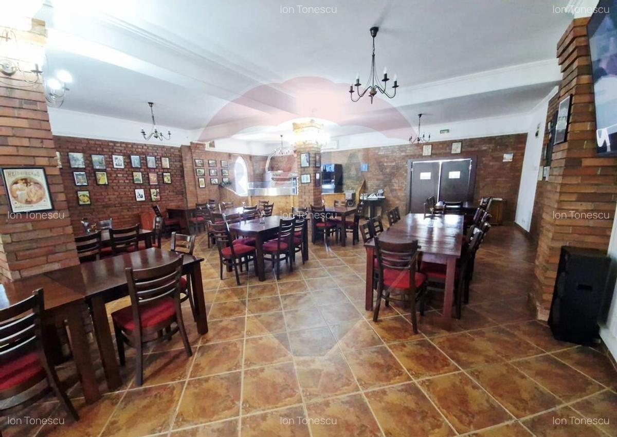 AFACERE DE VANZARE - RESTAURANTUL DON CHIRIAC - 30