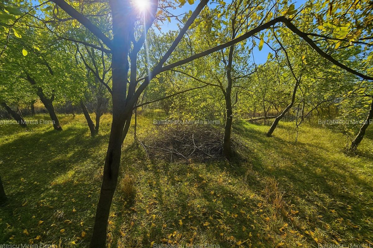 Casă tradițională într-un peisaj de vis – Vâlcănești - 27
